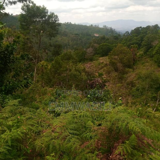 2.7 Acres for Sale in Wundanyi Mraru Near Mlondo