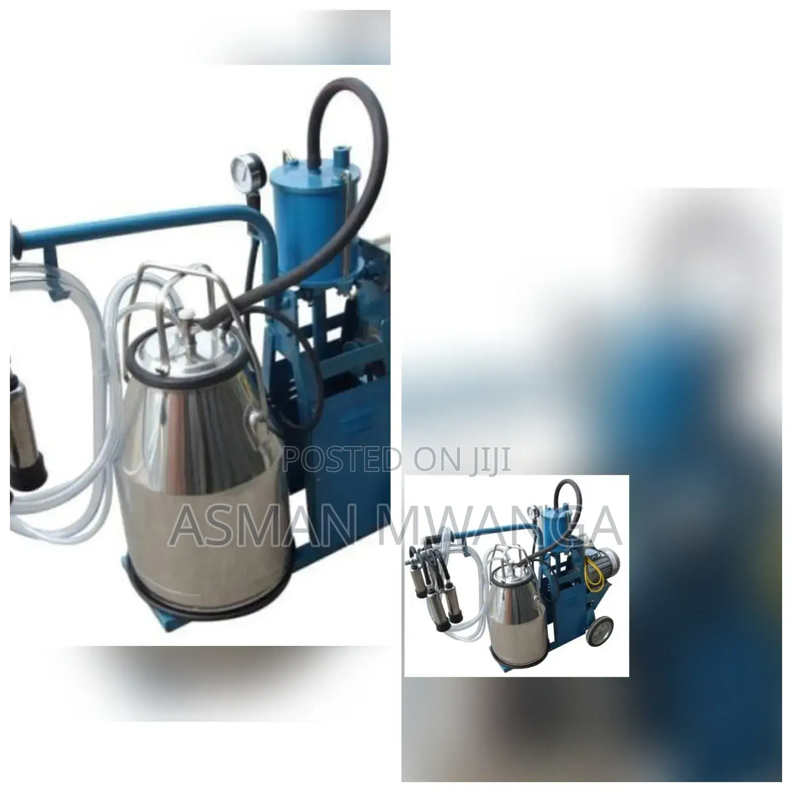 Cow Milking Machines