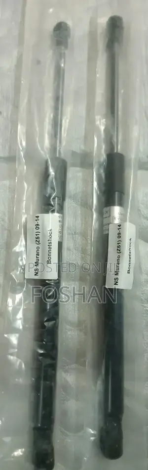 Murano Z51 Bonnet Shocks