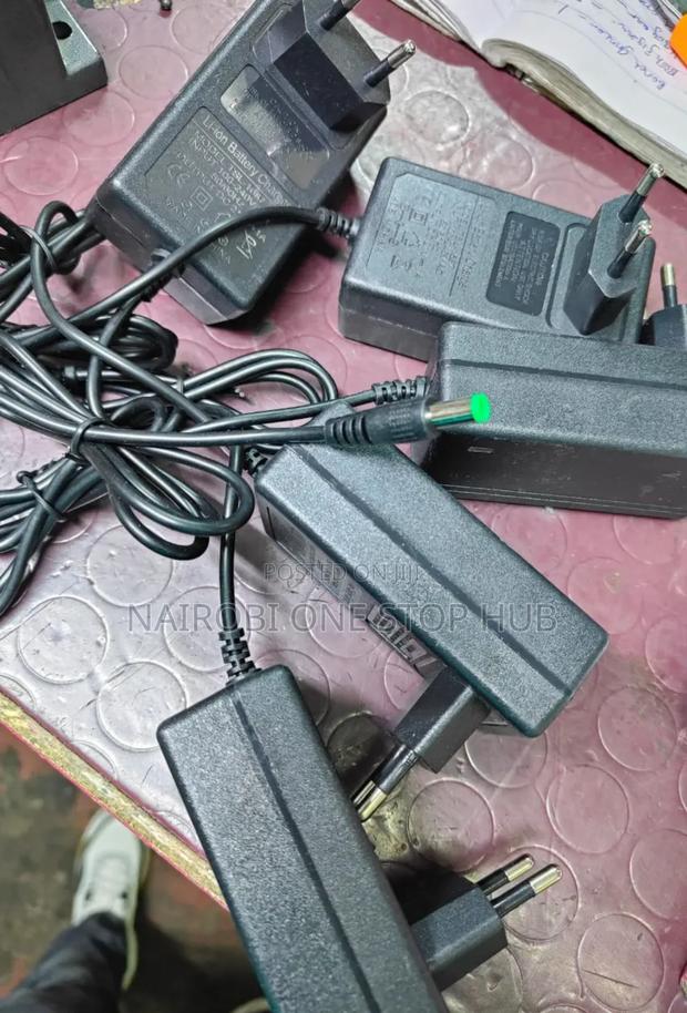 Lithium Ion Battery Charger - main view