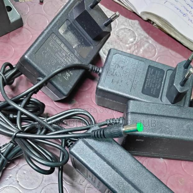 240v Lithium Ion Battery Charger - main view