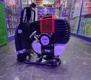 Brush Cutter Engine