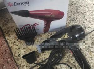 Quality Ceriotti Blowdryer - main view