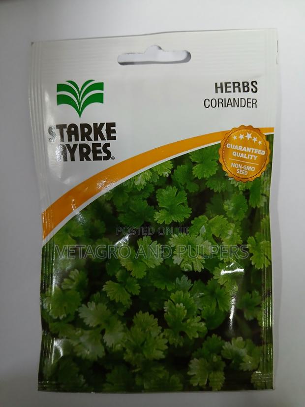 Herbs Coriander - main view