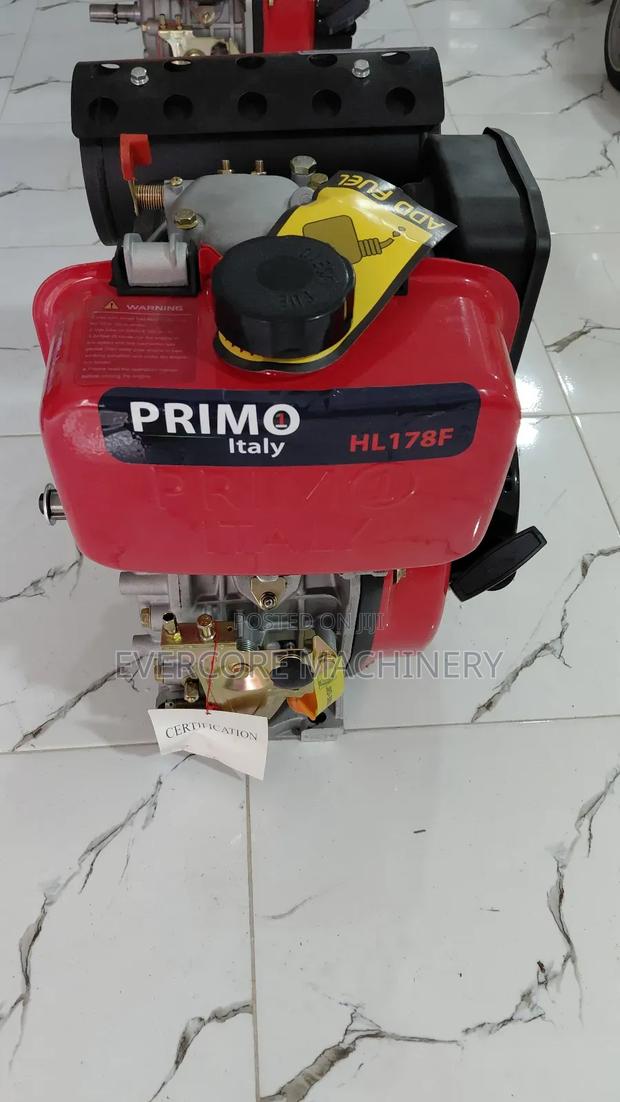 Primo Italy 178f 7.0hp Diesel Aircooled Engine.