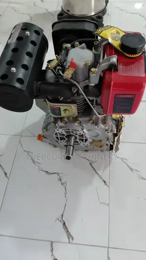 Primo Italy 178f 7.0hp Diesel Aircooled Engine.
