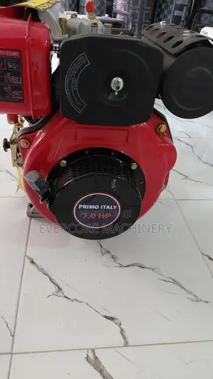 Primo Italy 178f 7.0hp Diesel Aircooled Engine.