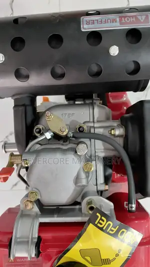 Primo Italy 178f 7.0hp Diesel Aircooled Engine.