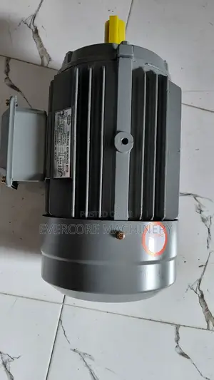 STCL Italy 3hp Electric 3-Phase Motor Lowspeed .