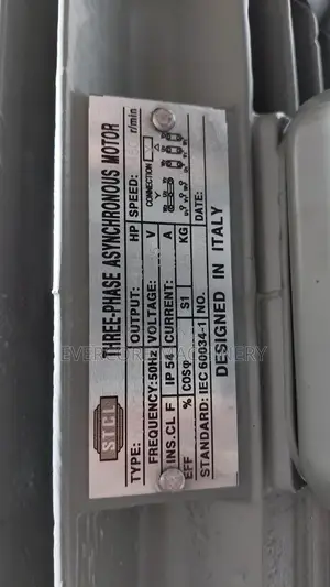STCL Italy 3hp Electric 3-Phase Motor Lowspeed .