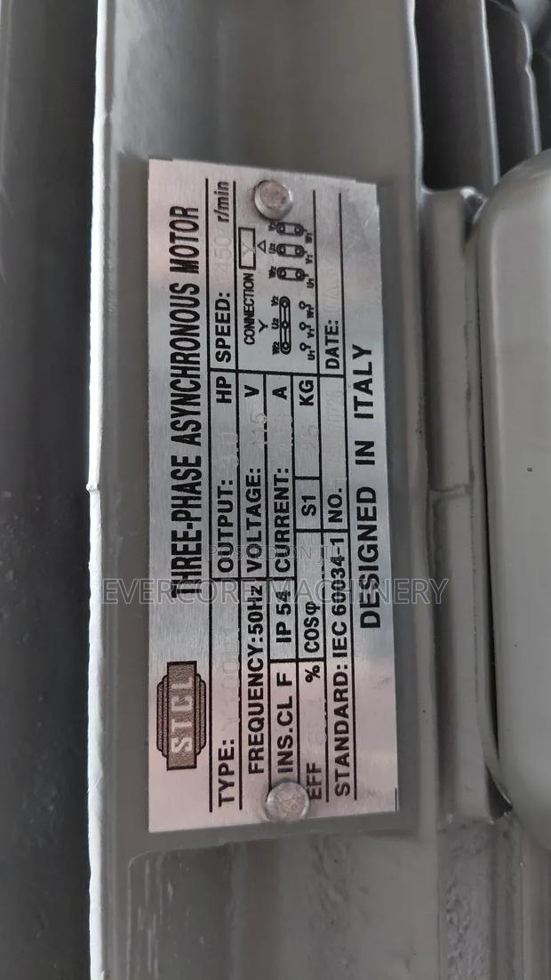 STCL Italy 3hp Electric 3-Phase Motor Lowspeed . - thumbnail 2