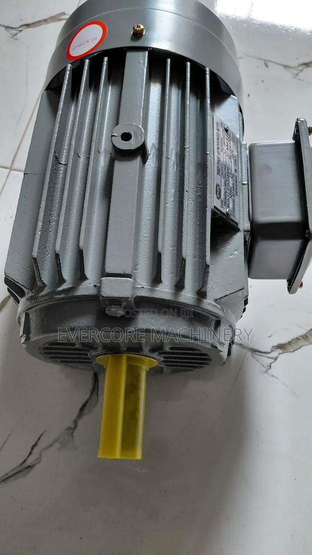 STCL Italy 3hp Electric 3-Phase Motor Lowspeed . - thumbnail 3