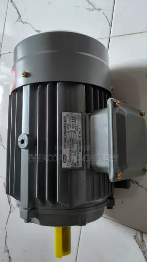 STCL Italy 3hp Motor Three Phase Electricity.