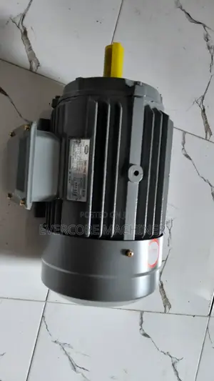 STCL Italy 3hp Motor Three Phase Electricity.