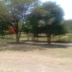 5 Acres for Lease in Karen, Going for 1million Per Acre