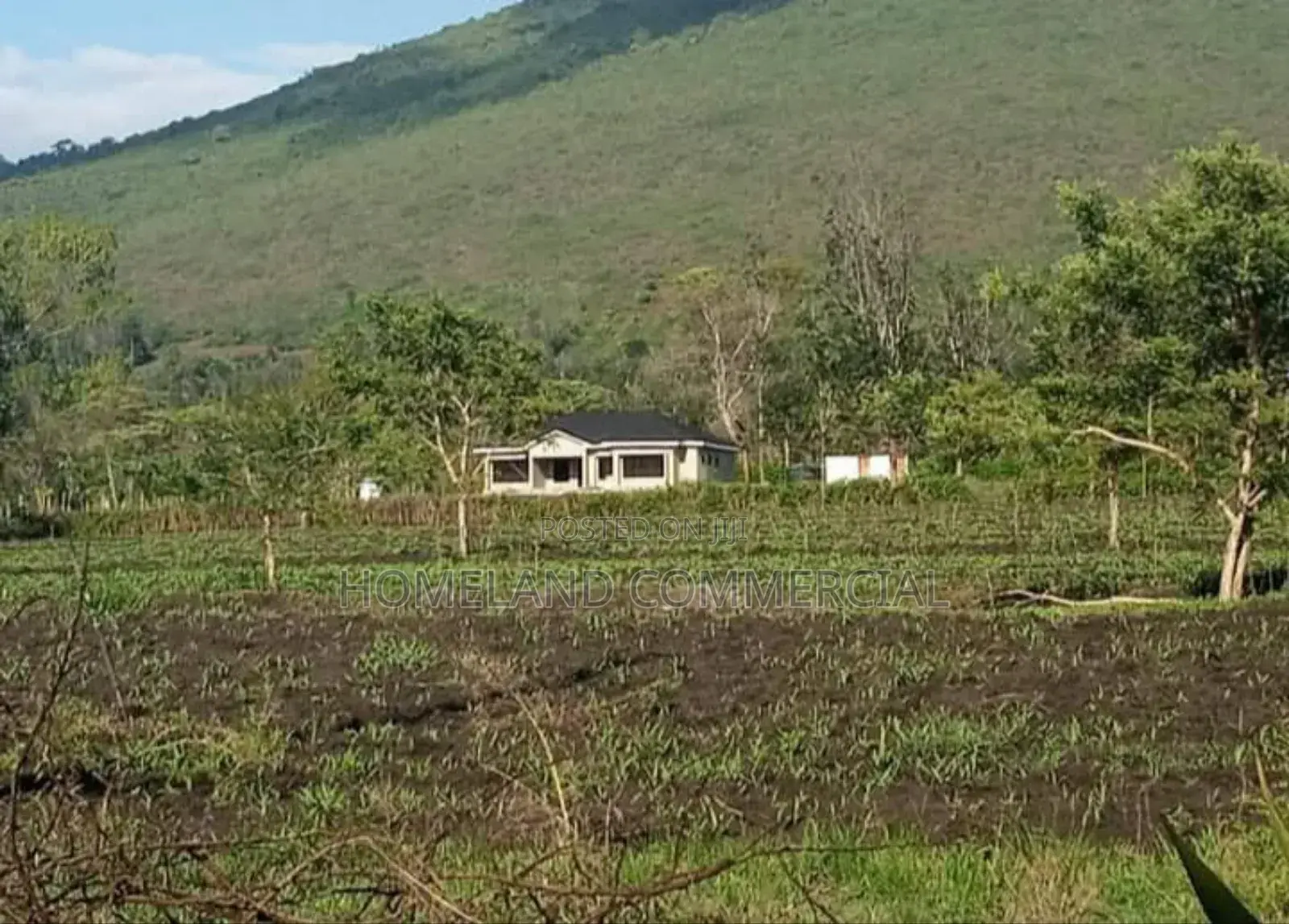 Land for Sale in Kiserian 3 Acres Selling as a Block.