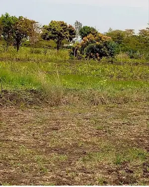 Land for Sale in Kiserian 3 Acres Selling as a Block.