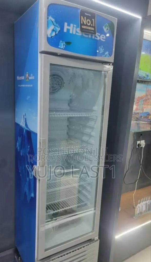 Brand New Hisense 282litres Showcase - main view