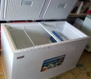 Premier 400 Litres Deep Freezer