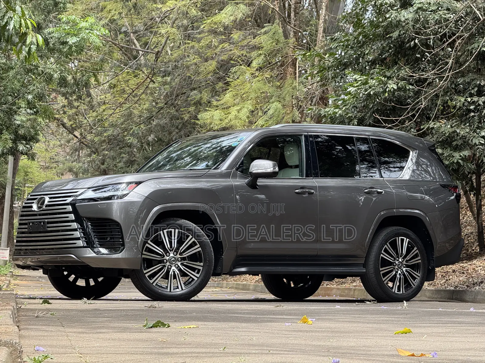 Lexus LX LX 600 2022 Gray