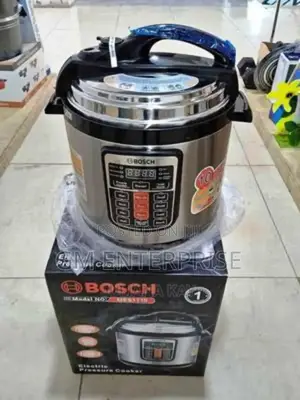 6 Litre Bosch Electric Pressure