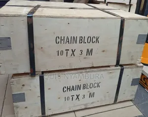 10t Chain Block 3m Quality Chain Block 10ton