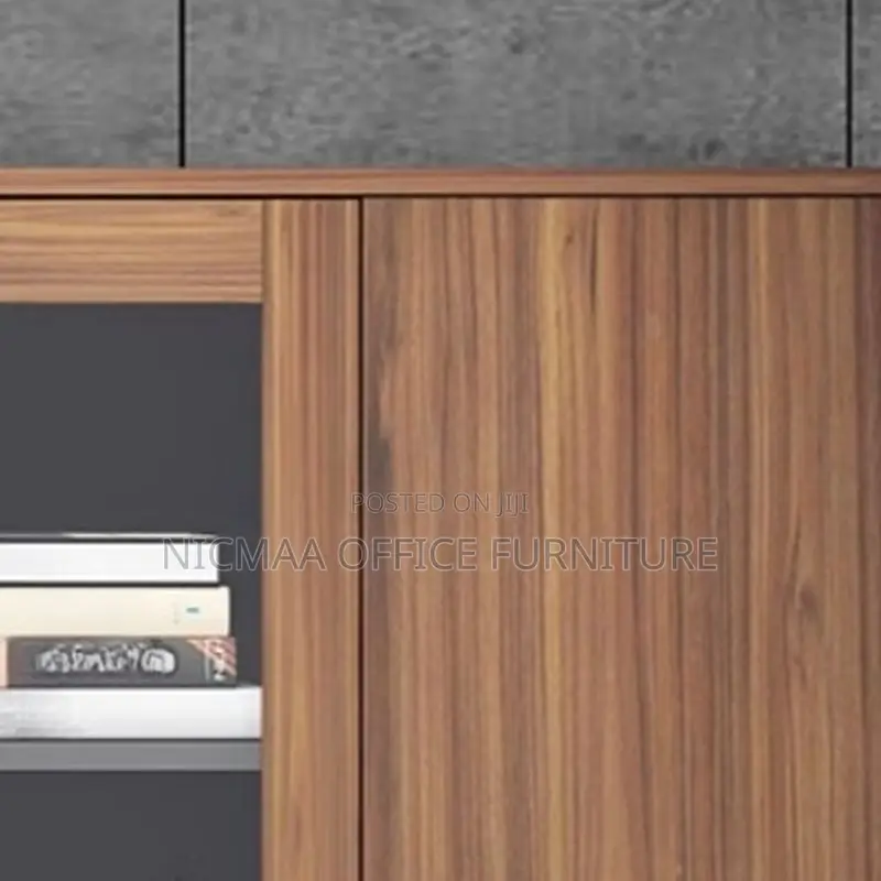 Modern Dual-Type Storage Cabinet With Glass Doors