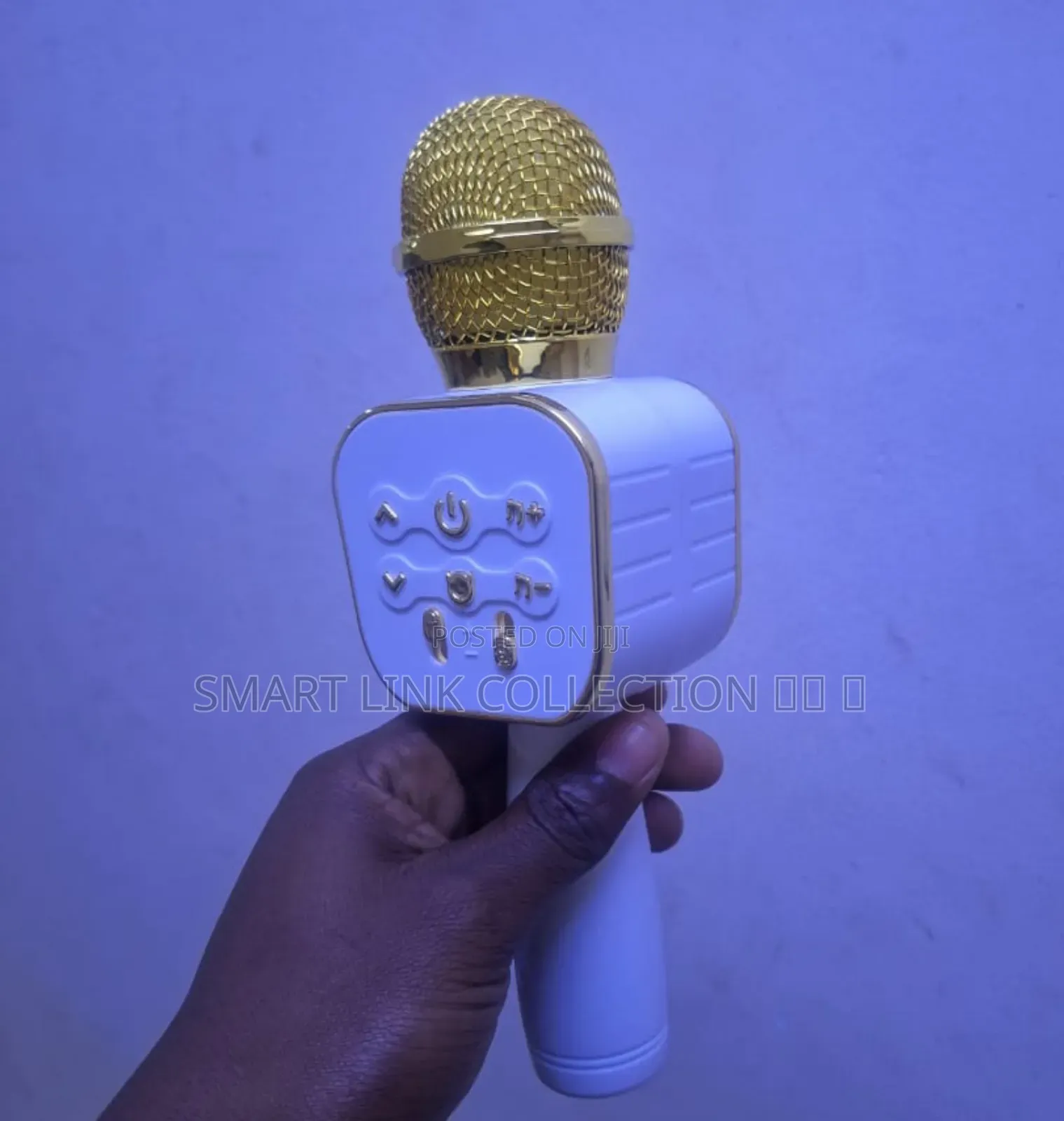 Wireless Bluetooth Karaoke Microphone