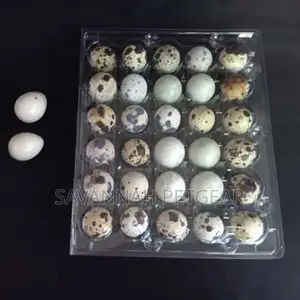 High Quality 30 Holes Blister Clear Wholesale Quail Egg Trays