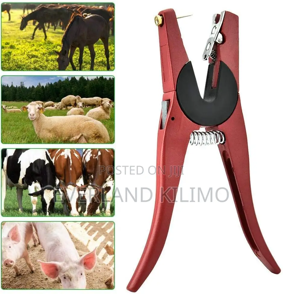 Wear-Resistant Applicator