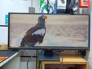 Dell U2913wm 29 Inch Ultra Wide Monitor