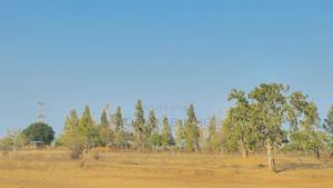 Plot for Sale - thumbnail 2