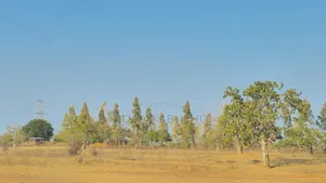 Plot for Sale