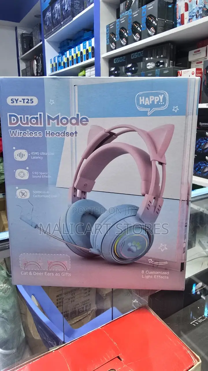 Wireless Headset With Detachable Mic,