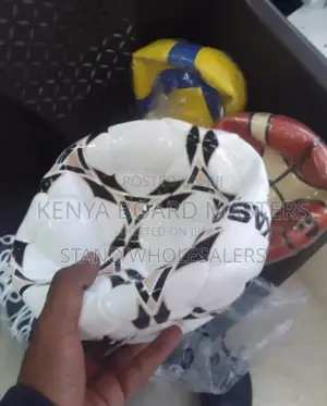 New Mikasa Football