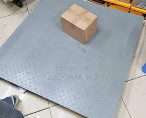 1000kg Weighing Scale/ Weighing Scale