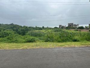 1/2 Acre Up for Sale in Bofa,Kilifi - thumbnail 2