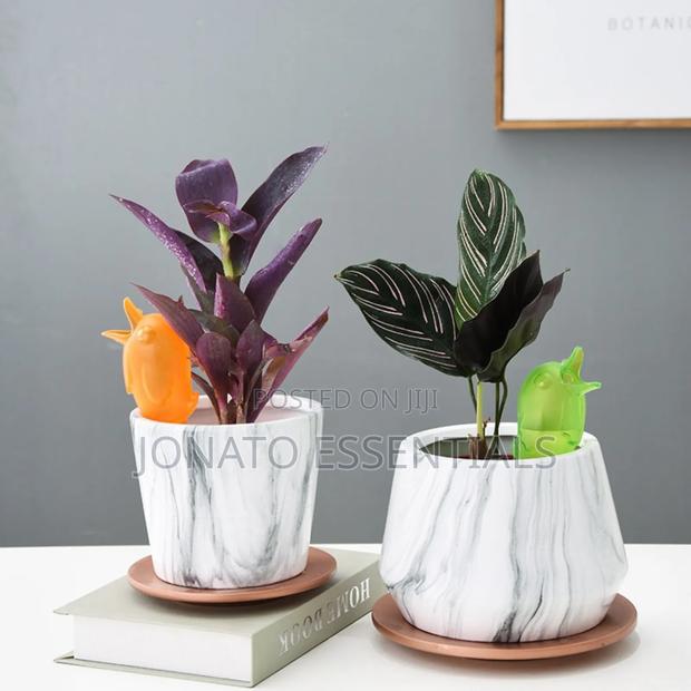 Garden Automatic Watering Irrigation Tool - thumbnail 4