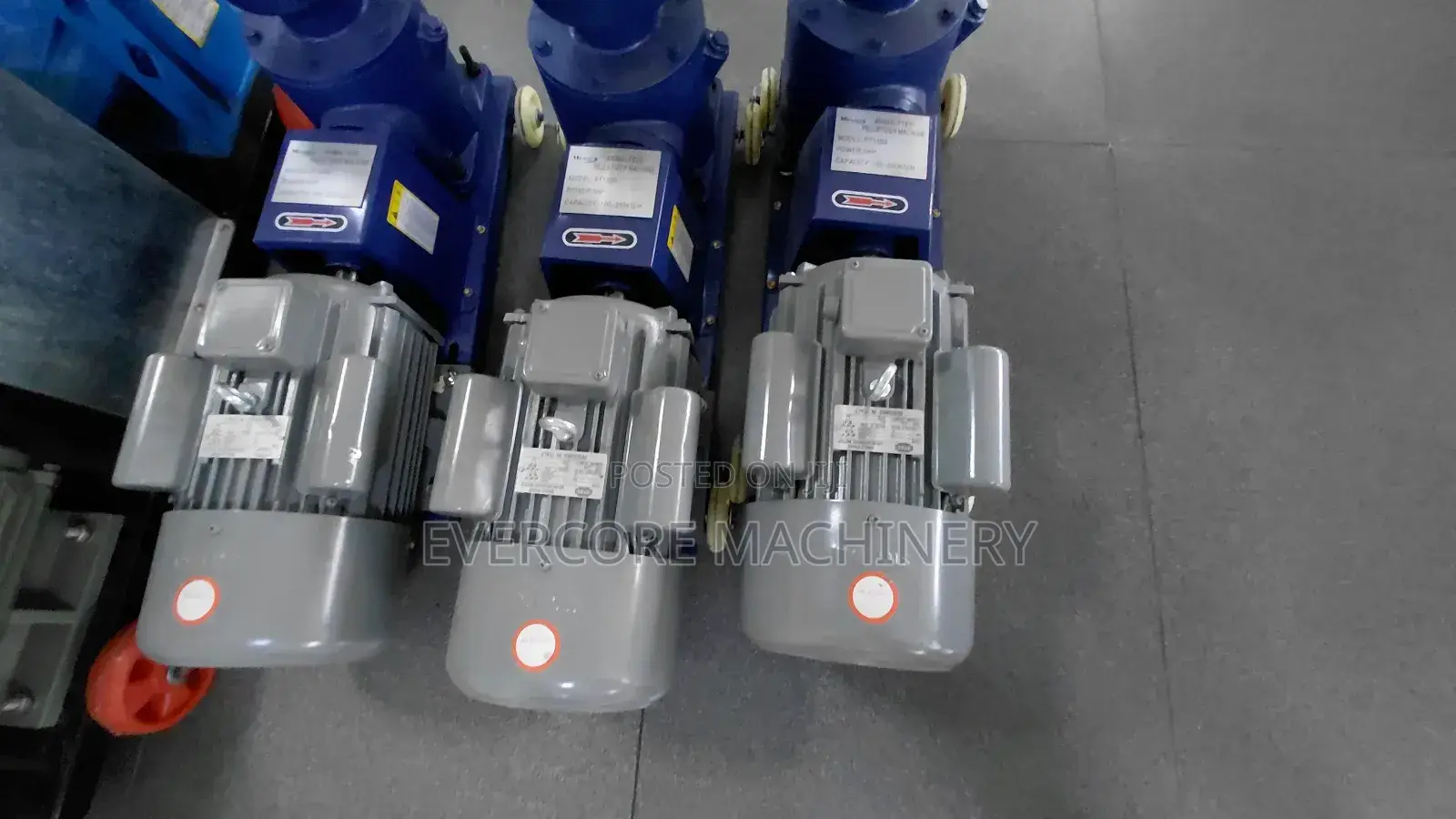 Milano 10hp Electric Animal Pelletizer Machine 300kg Per Hr.