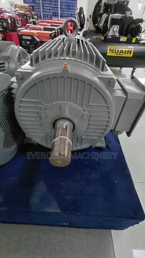 STCL Italy 30hp High-Speed Motor Three Phase Copper Winded.