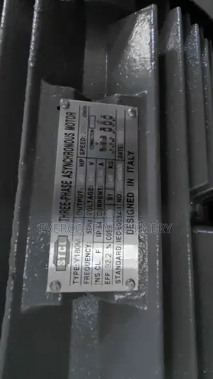 STCL Italy 30hp High-Speed Motor Three Phase Copper Winded.