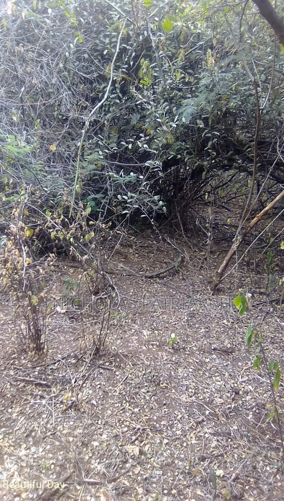 100 Acres Kitui Kanziku Selling at .Pee Acre