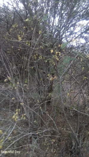 100 Acres Kitui Kanziku Selling at .Pee Acre
