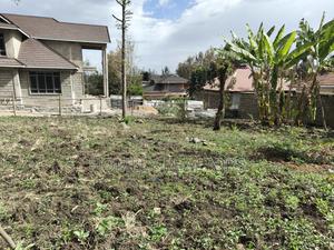 Residential Eighth Acre Plot in Mashuria, Rimpa, Ongata Rongai L - thumbnail 2