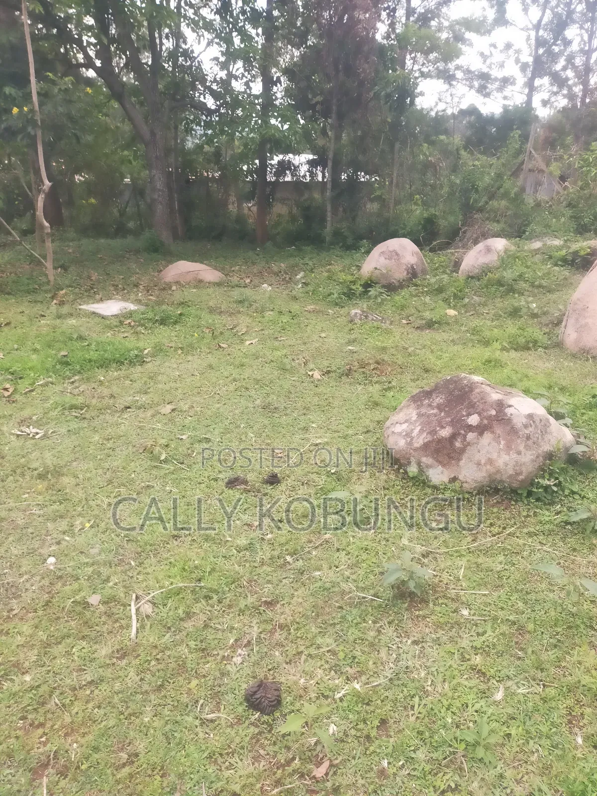 0.2 Land in Daraja Mbili