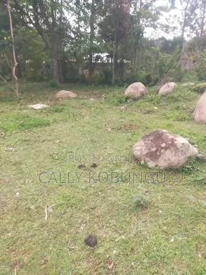 0.2 Land in Daraja Mbili