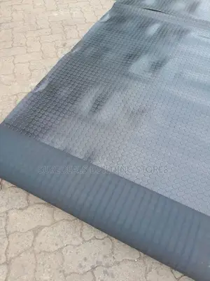 Coin Rubber Matting