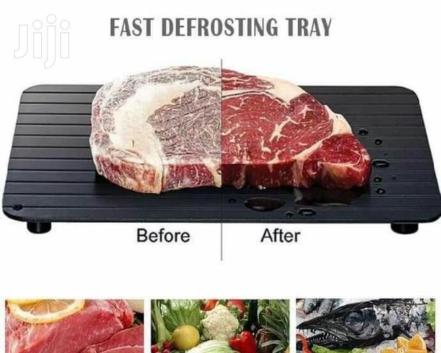 Defrosting Tray - main view