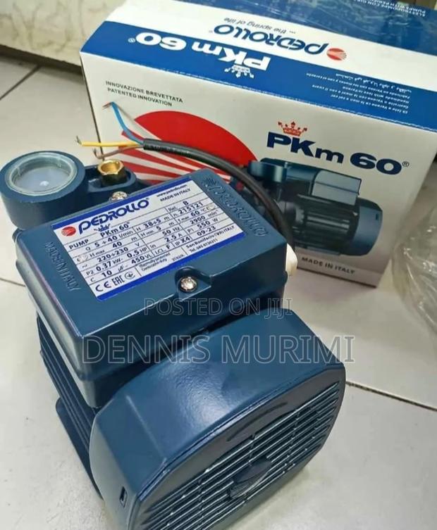 Water Pump/Pedrollo Water Pump - main view