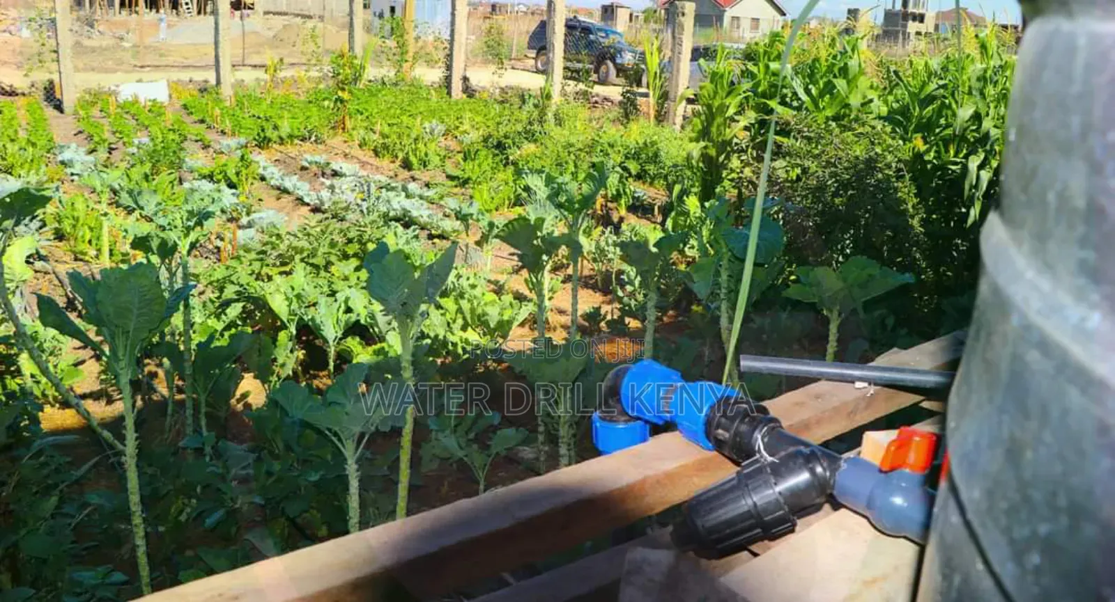 Greenhouse Installation Kenya